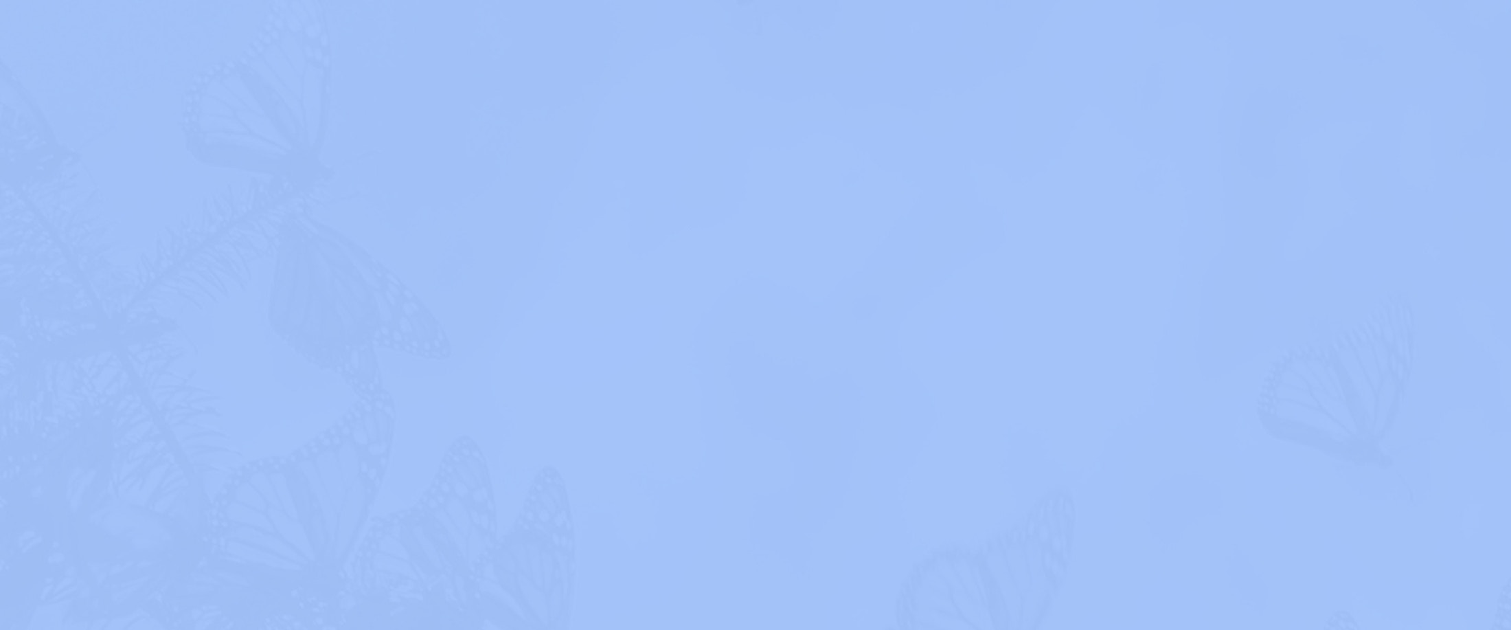 Banner media