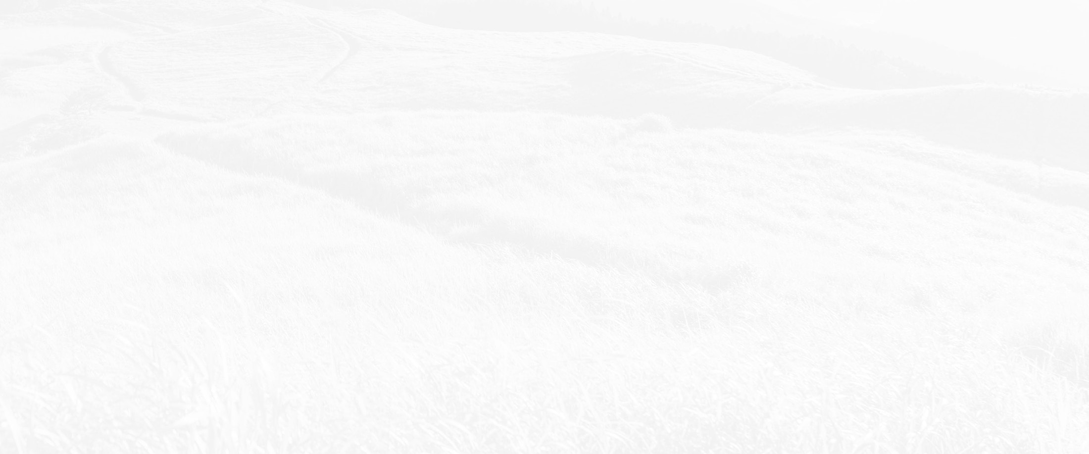 Banner media