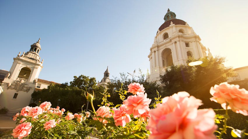 flowers in front of a building