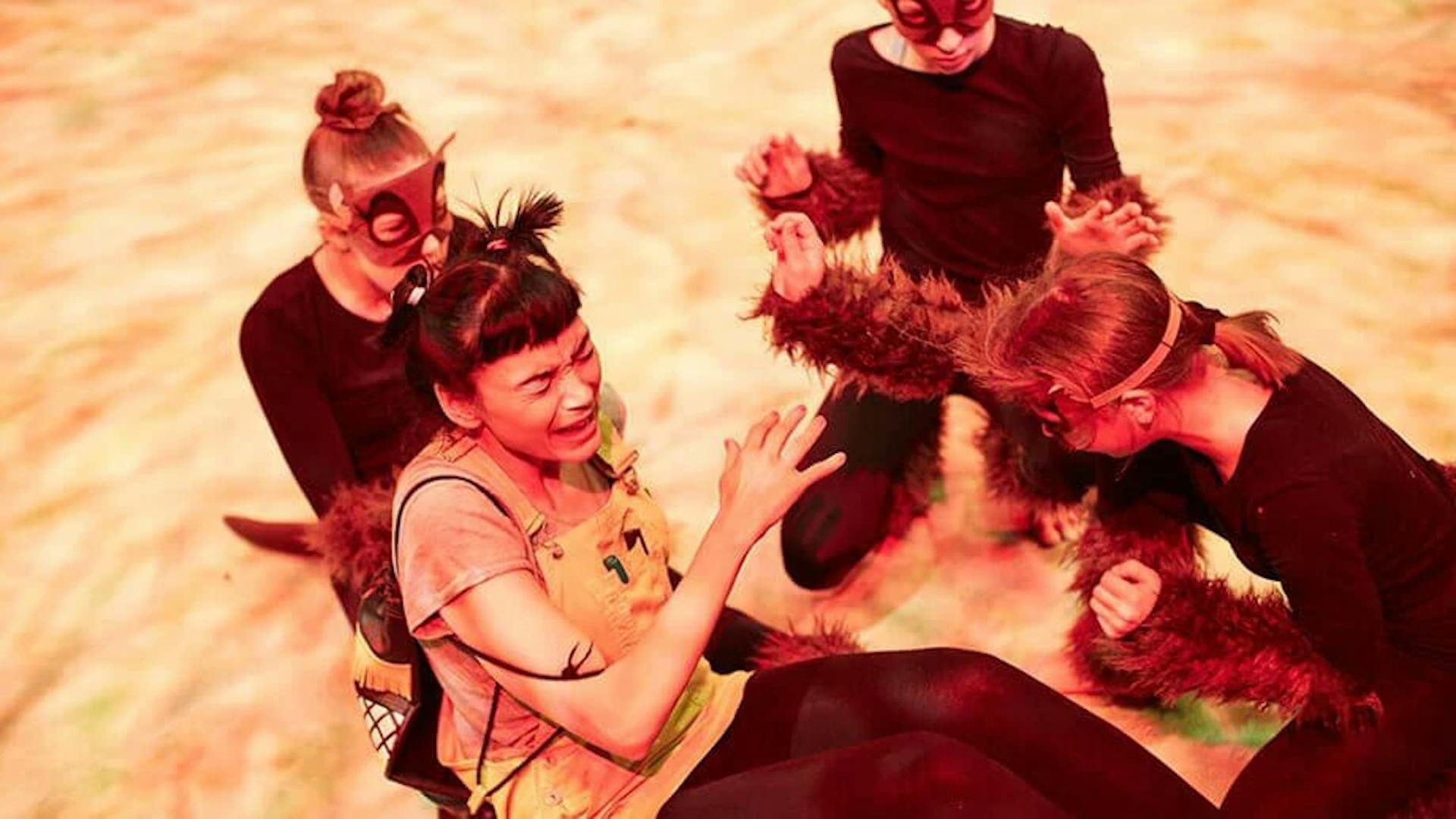 African animal paradise