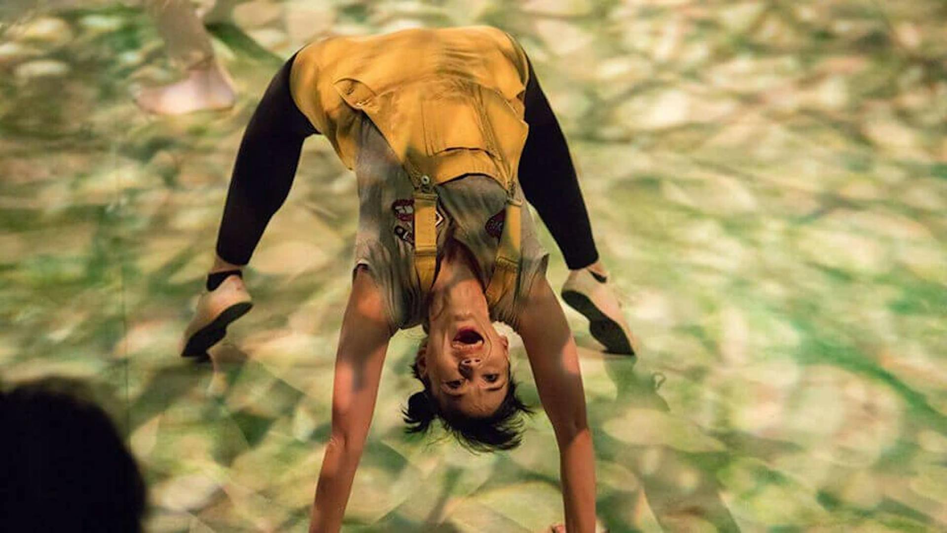 African animal paradise