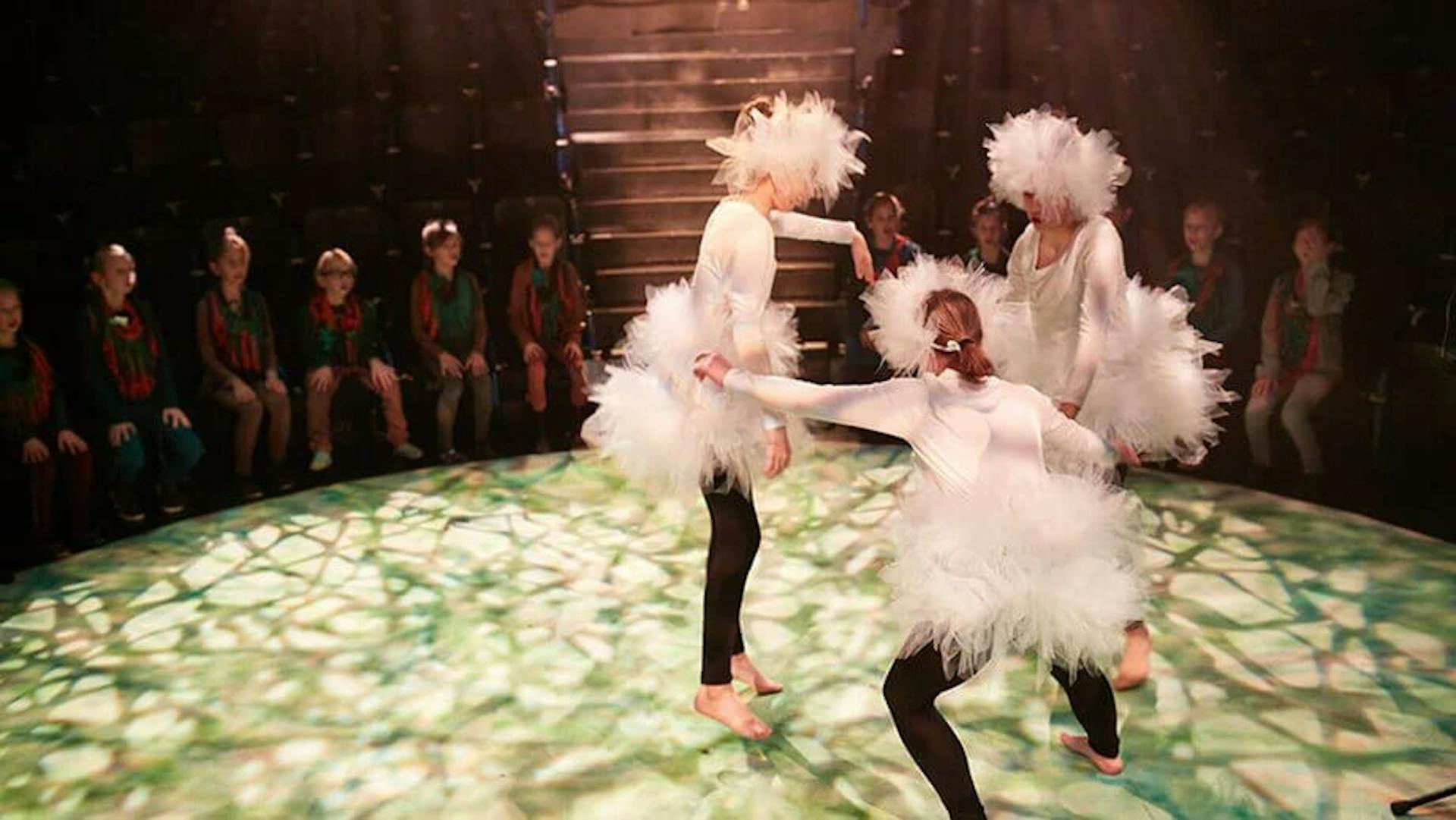 African animal paradise