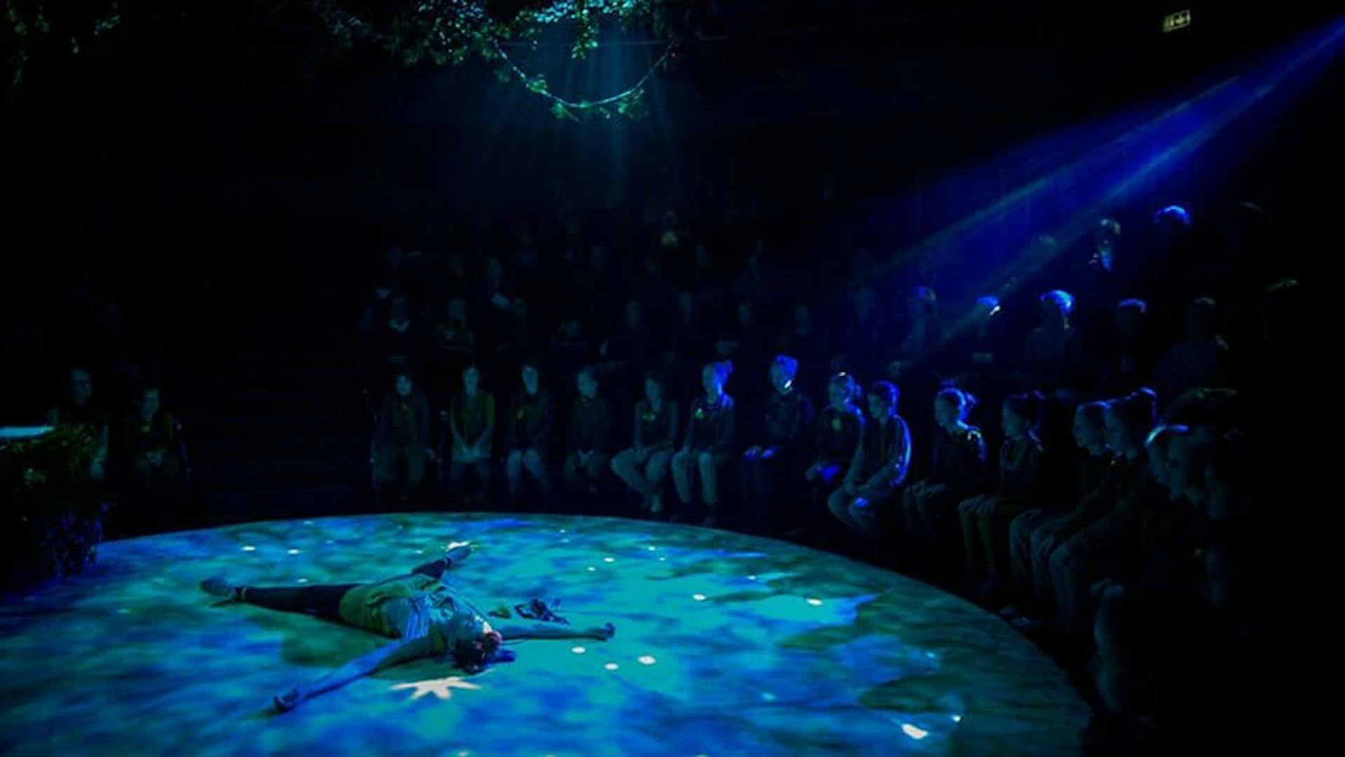 African animal paradise