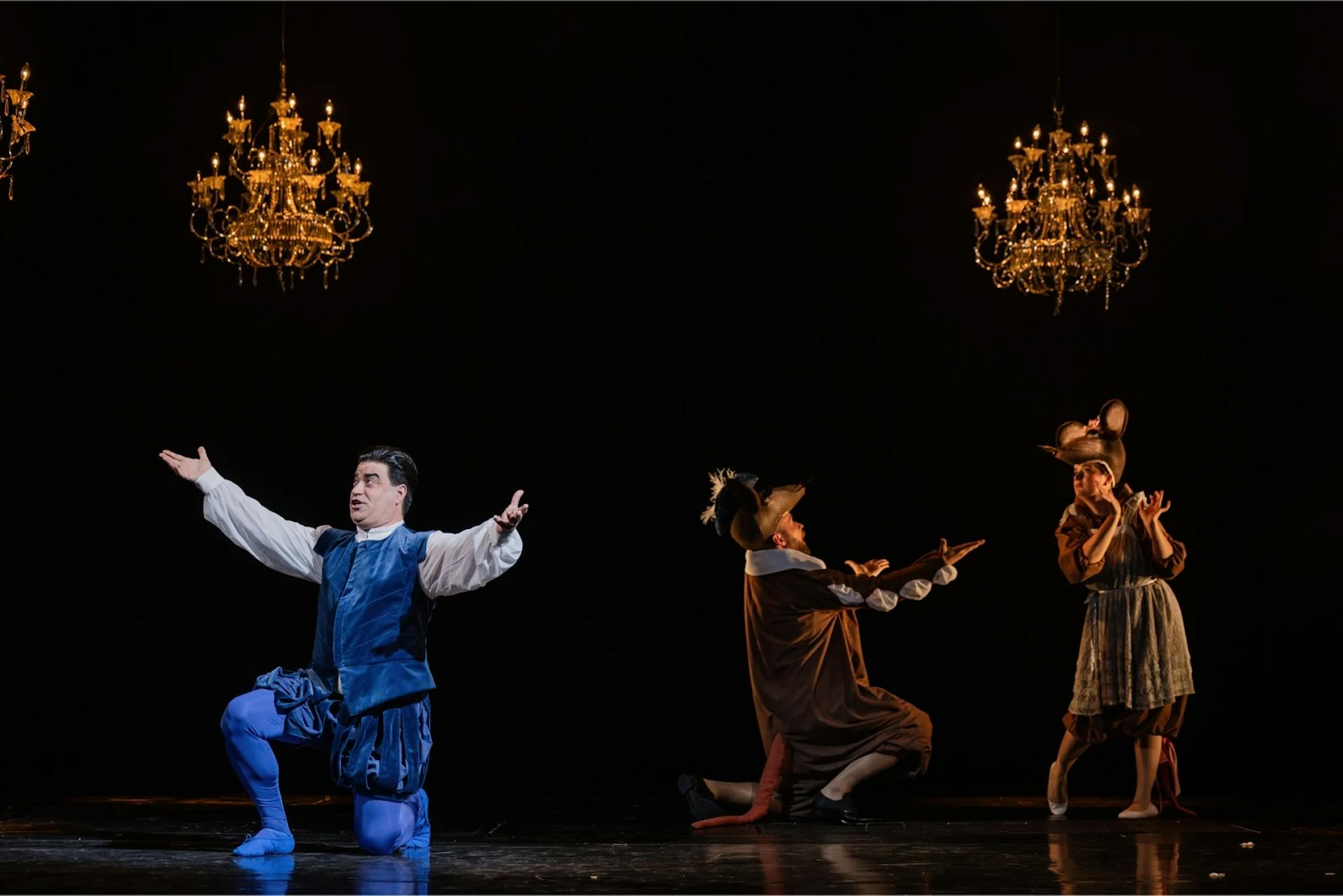 Mice in the opera house