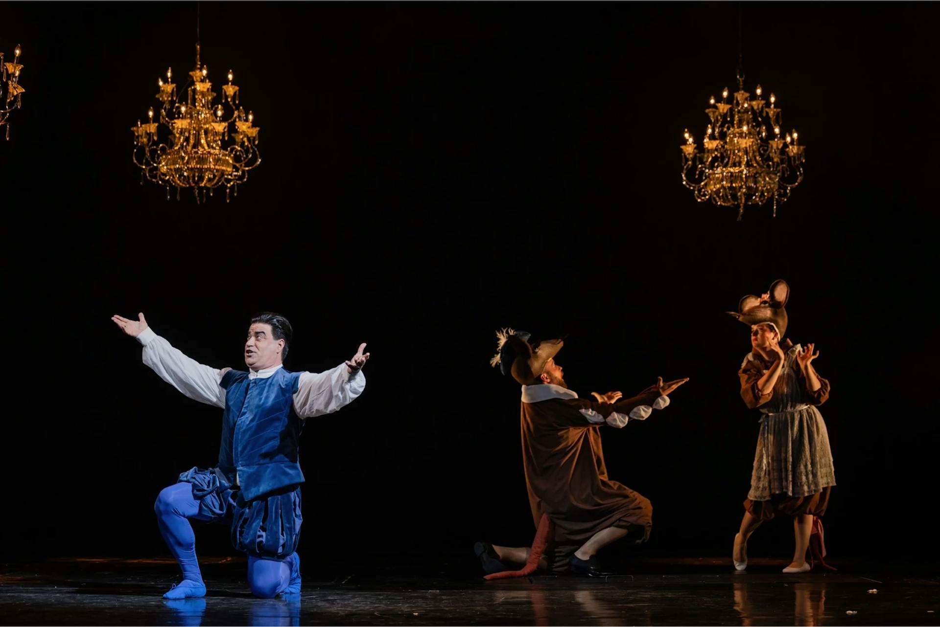 Mice in the opera house