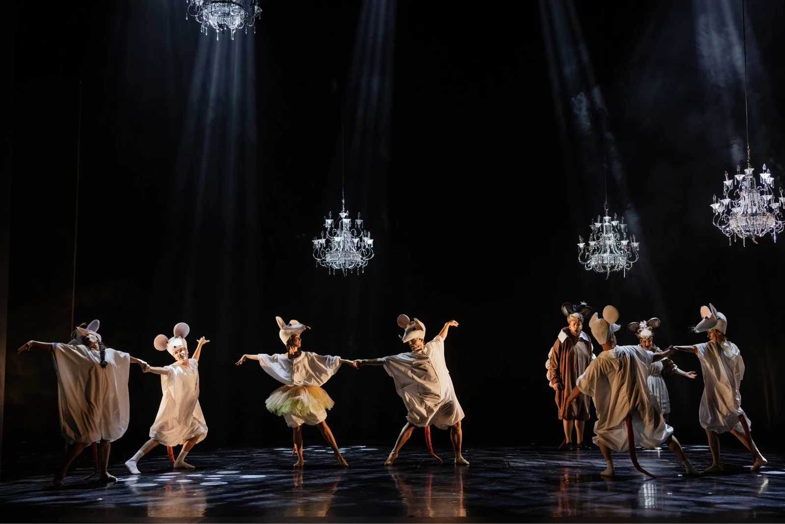 Mice in the opera house