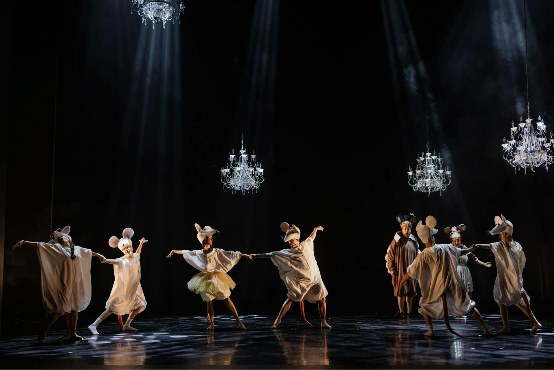 Mice in the opera house