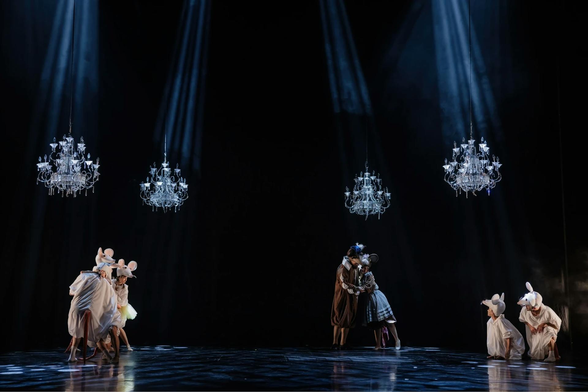 Mice in the opera house