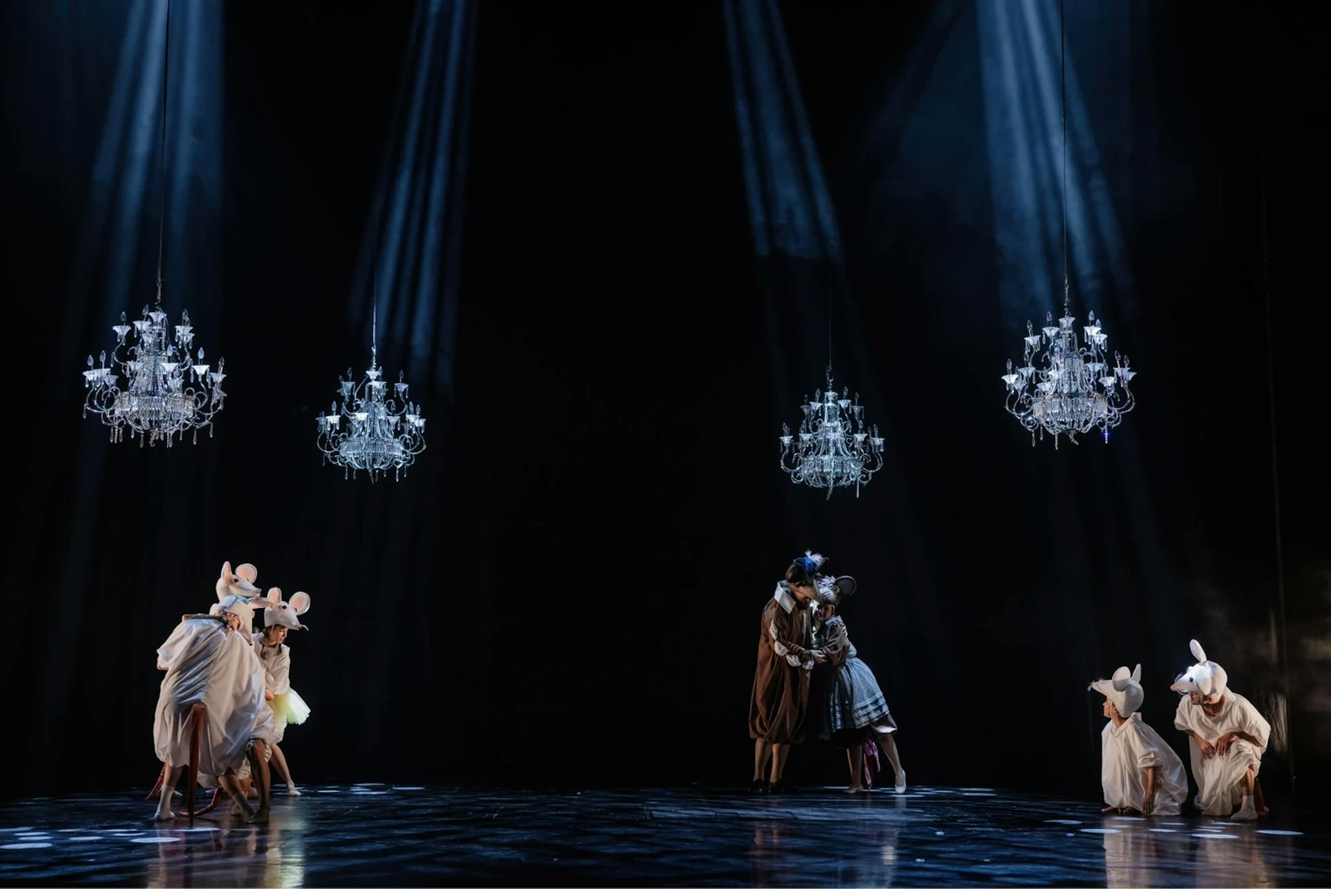 Mice in the opera house