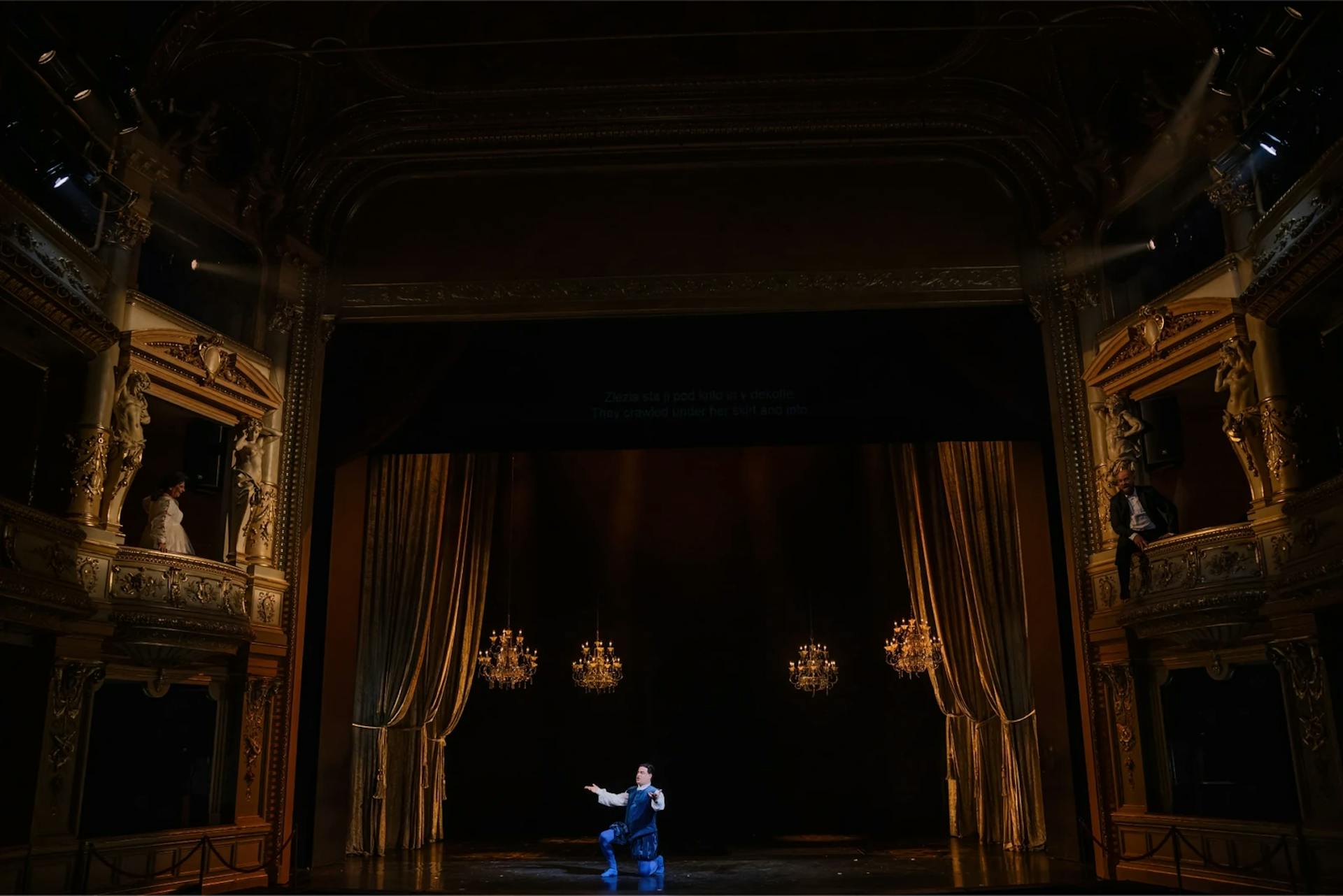 Mice in the opera house