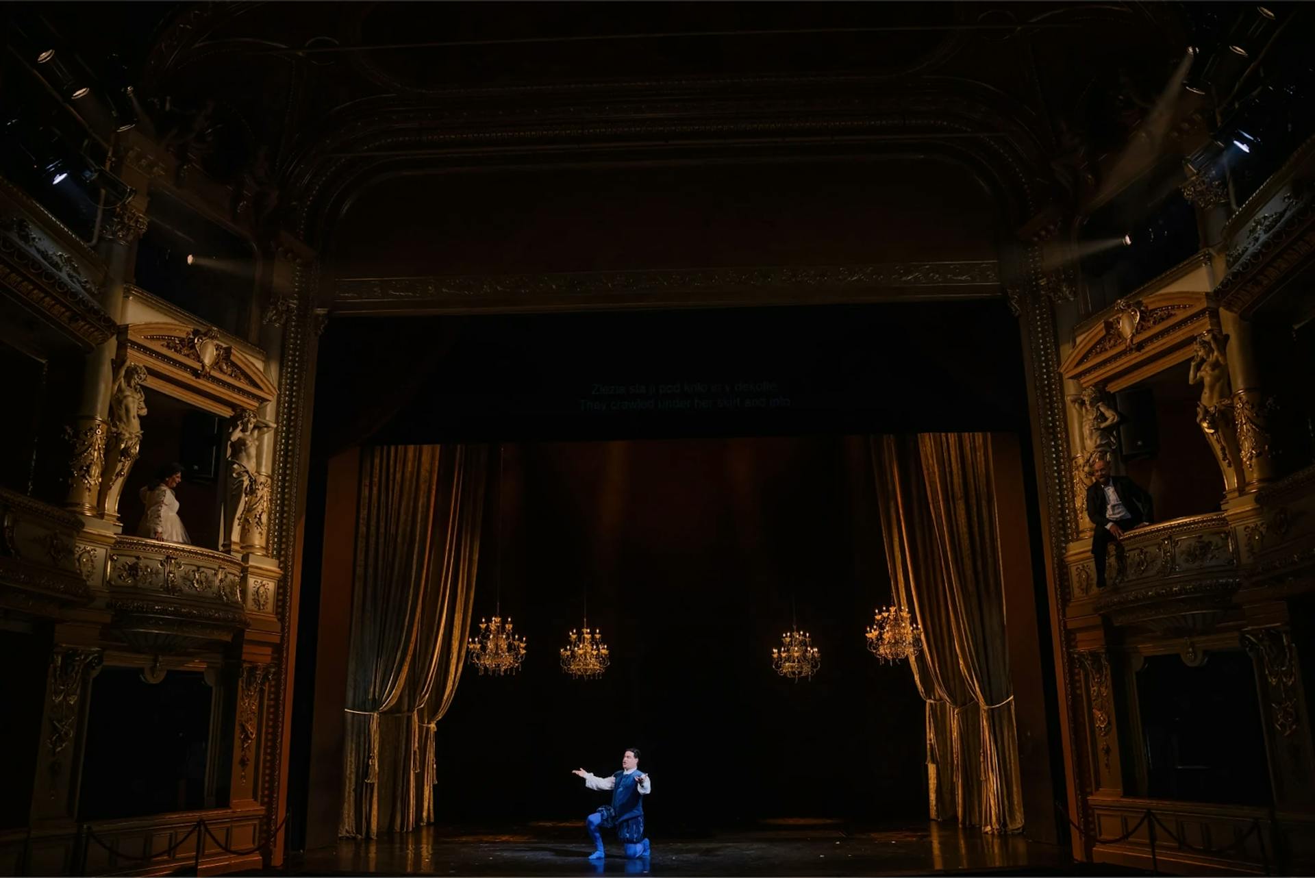 Mice in the opera house