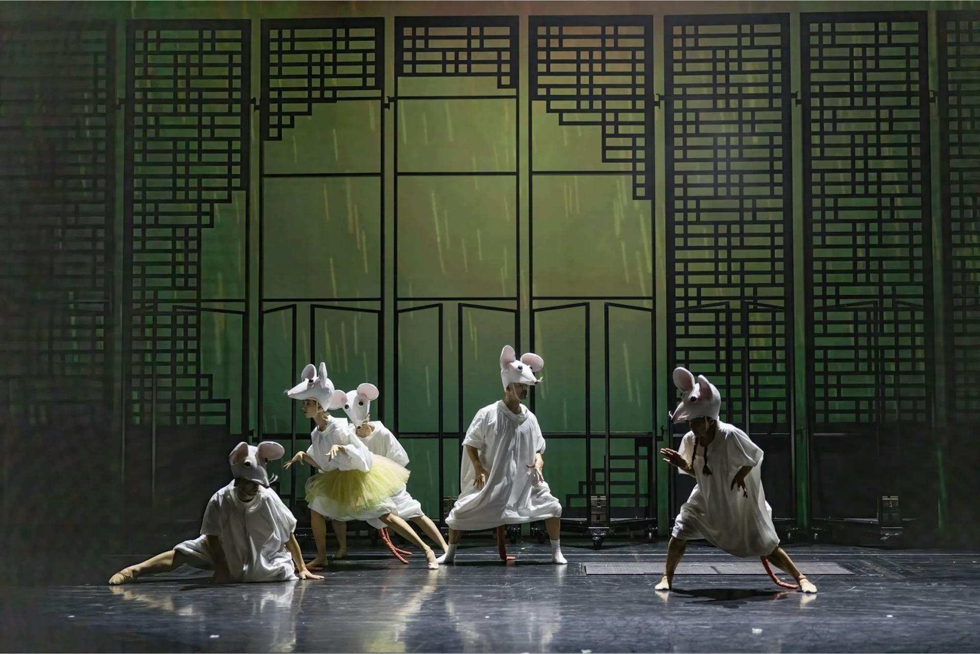 Mice in the opera house