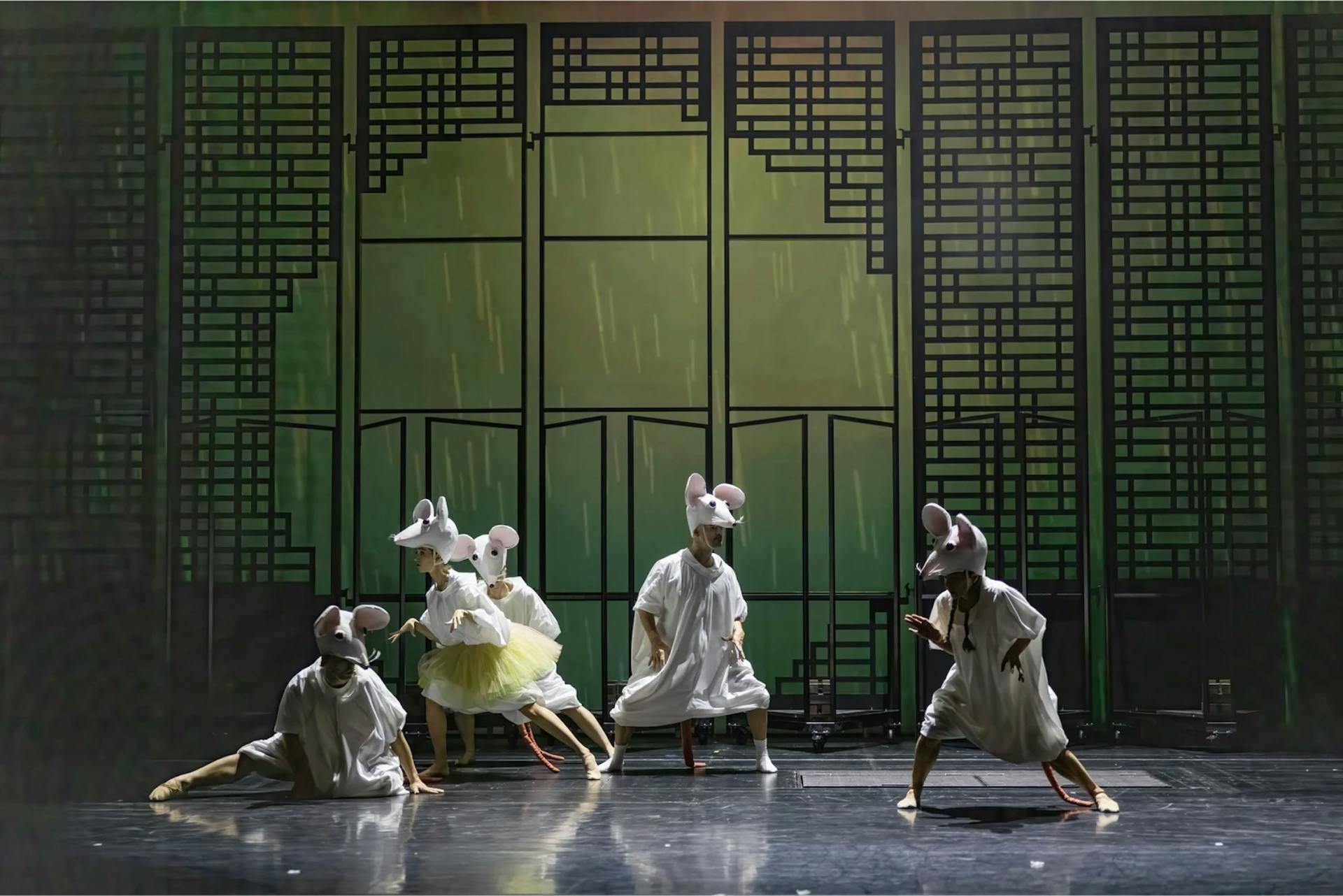 Mice in the opera house