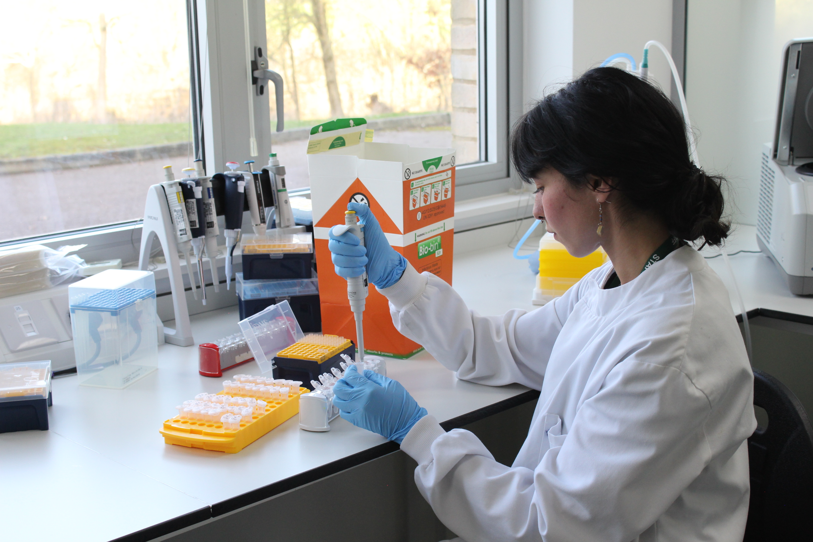 clothing, glove, adult, female, person, woman