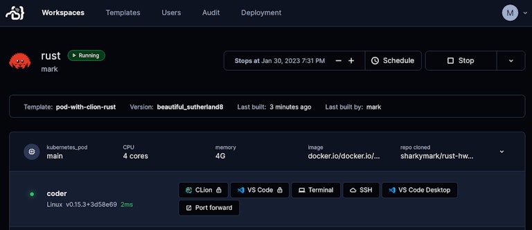 A JetBrains CLion IDE icon with a workspace using the Rust logo and container image.