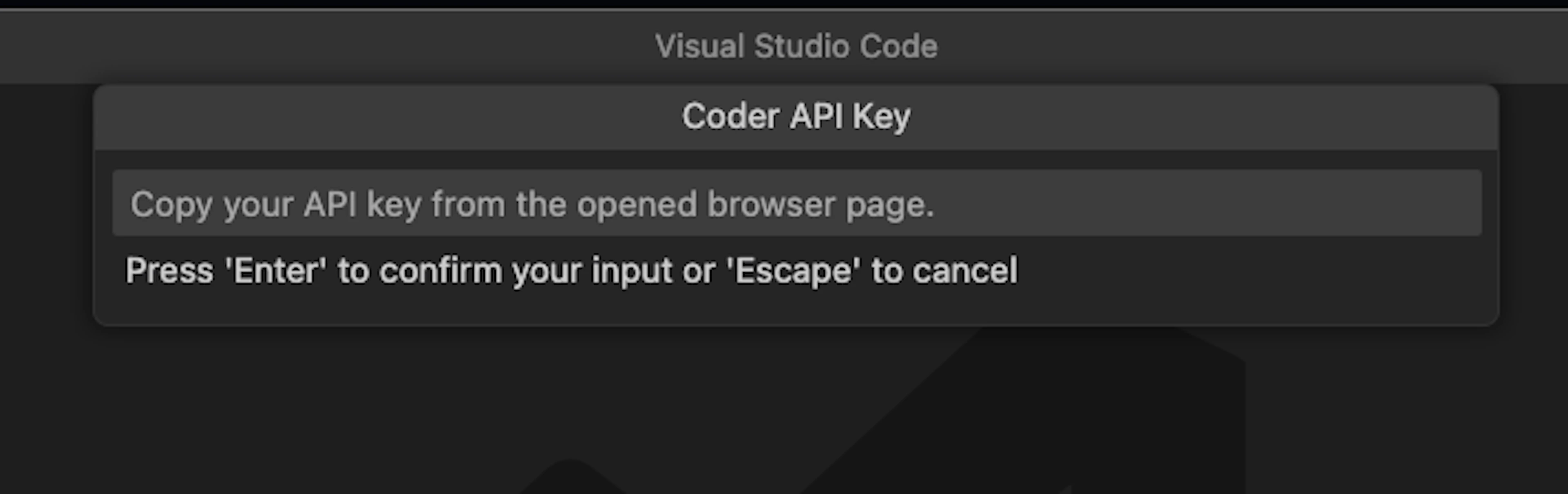 Paste your API Key retrieved after authenticating in the Coder Web UI