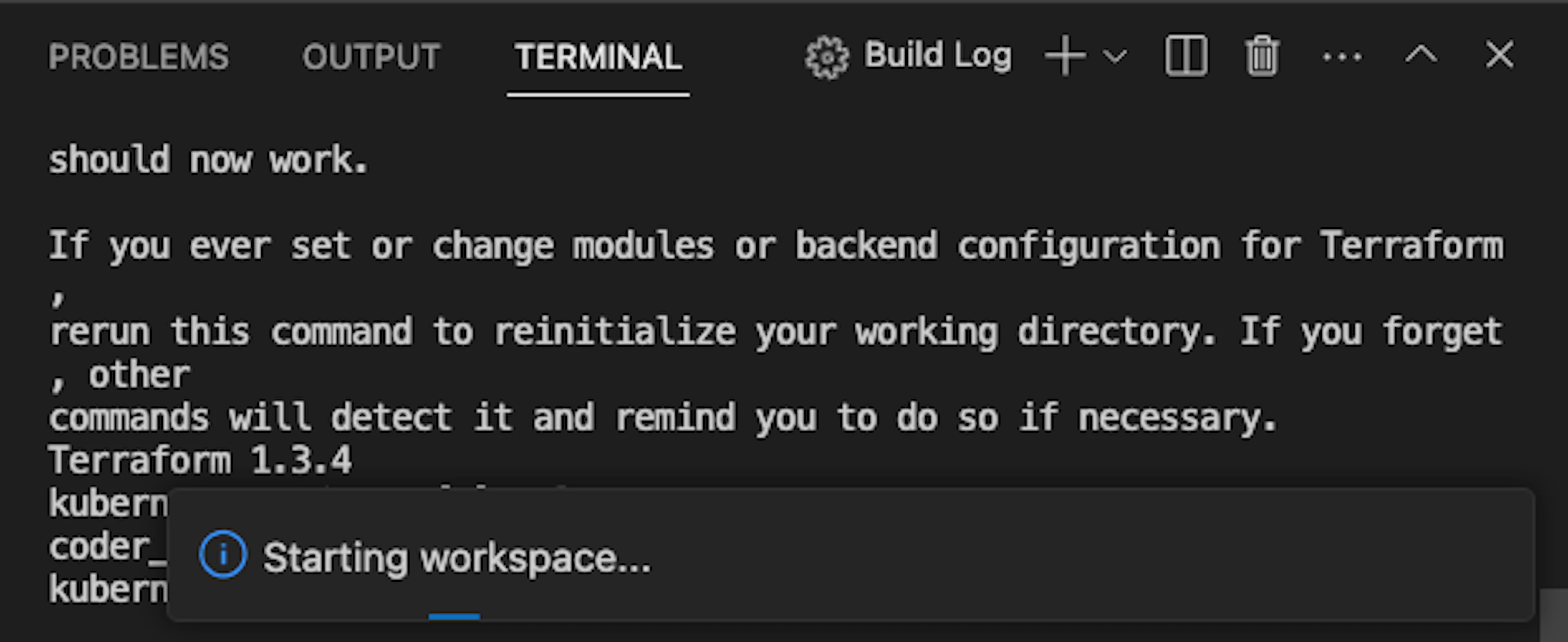 The Terraform template build log visible within local VS Code as the workspace starts