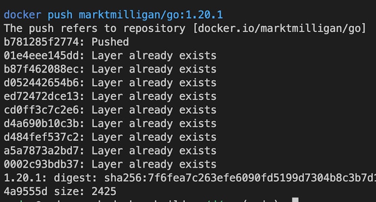 Push the new container image to the container registry