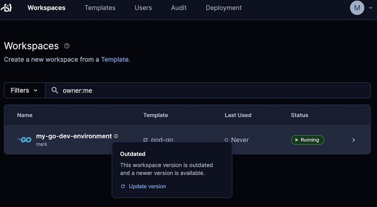 The developer is notified that their Go workspace is out of date