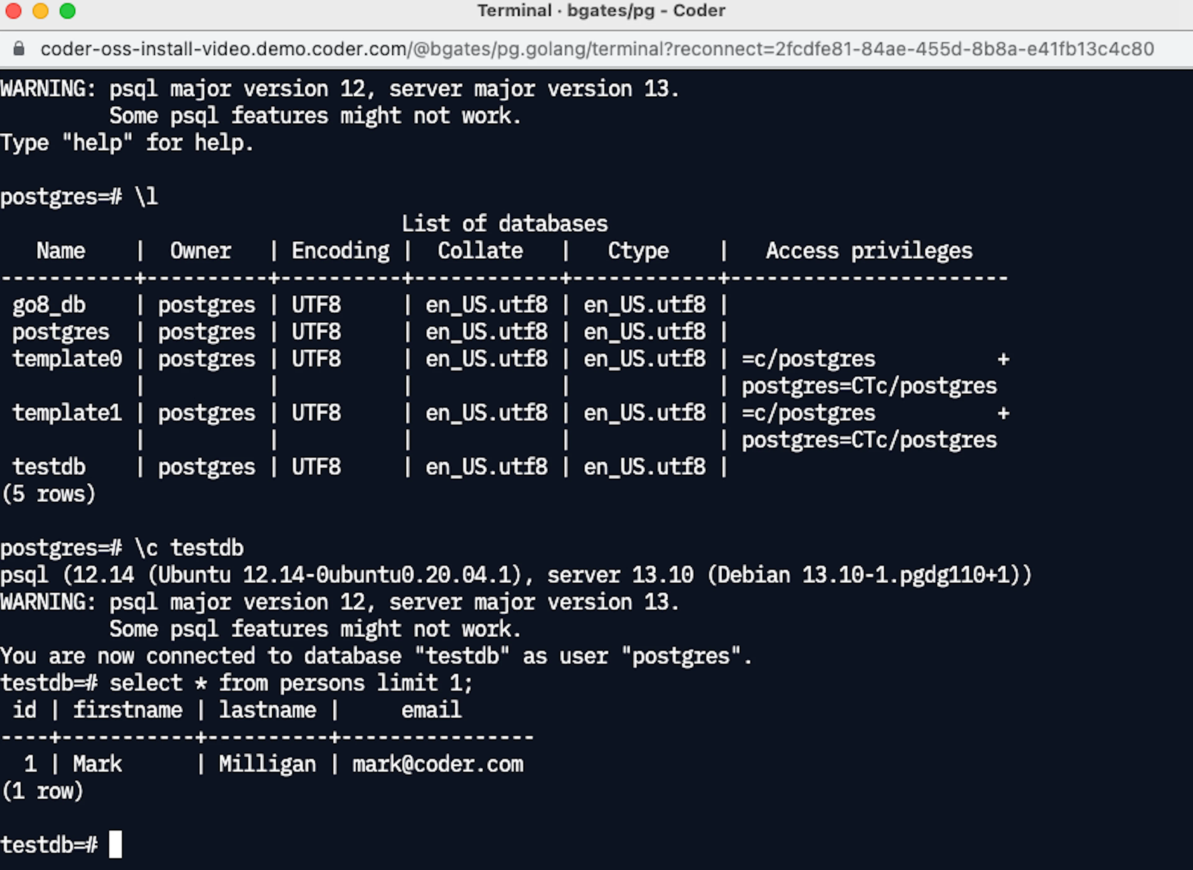 Caption: Retrieving a row of data with the psql utility inside a web terminal