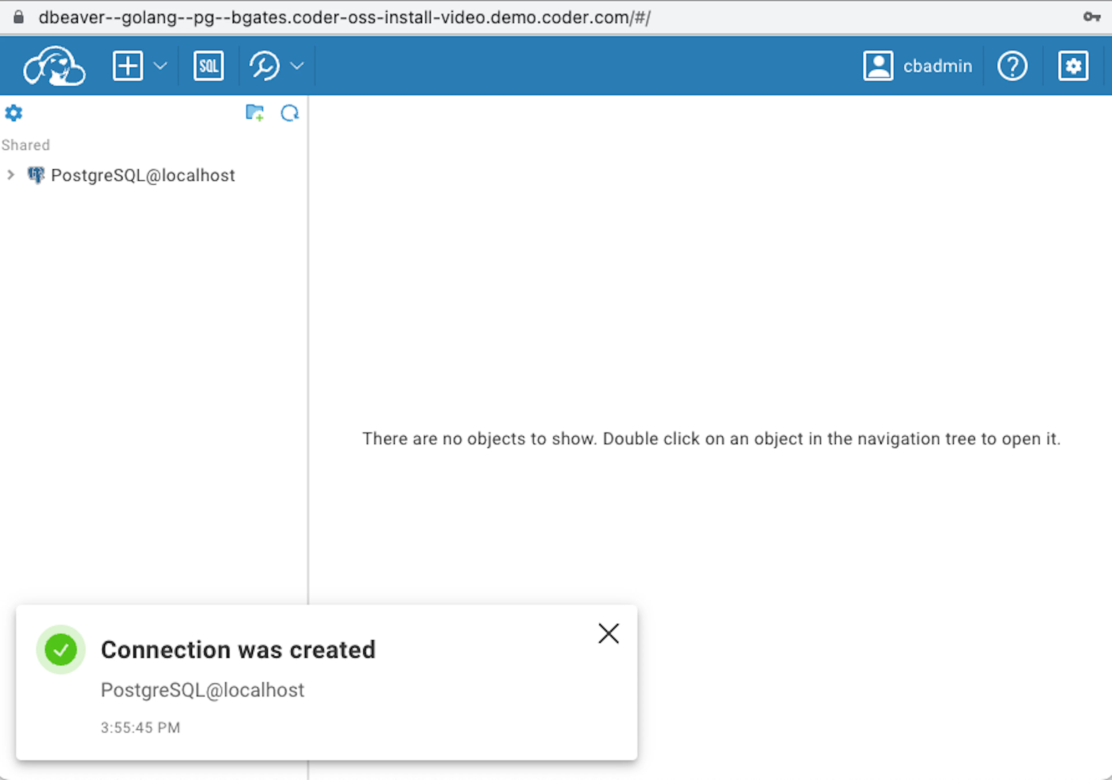 Caption: Connecting to the PostgreSQL database container during initial setup with DBeaver