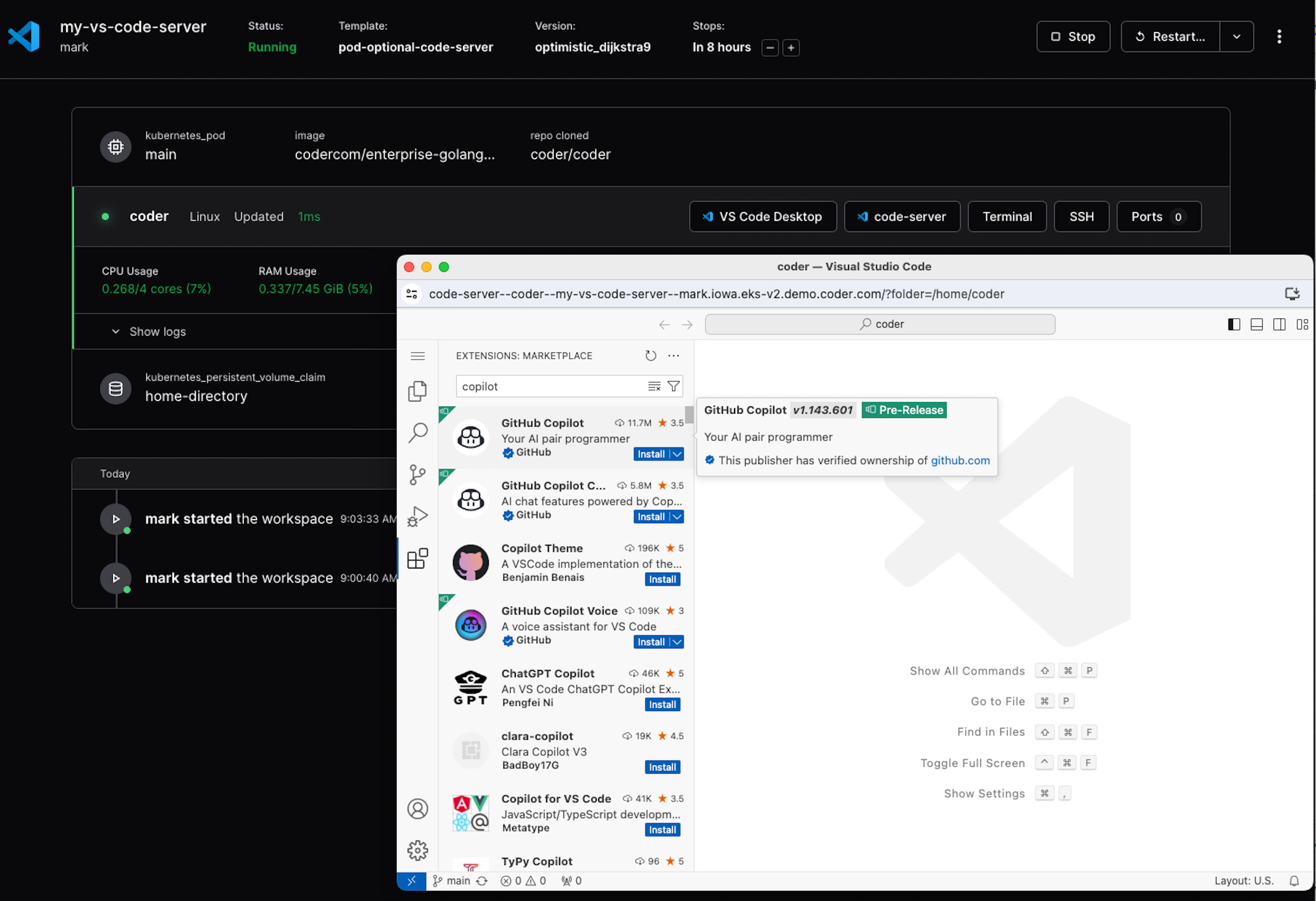 A Coder workspace with Microsoft's web VS Code IDE called VS Code Server in a browser.