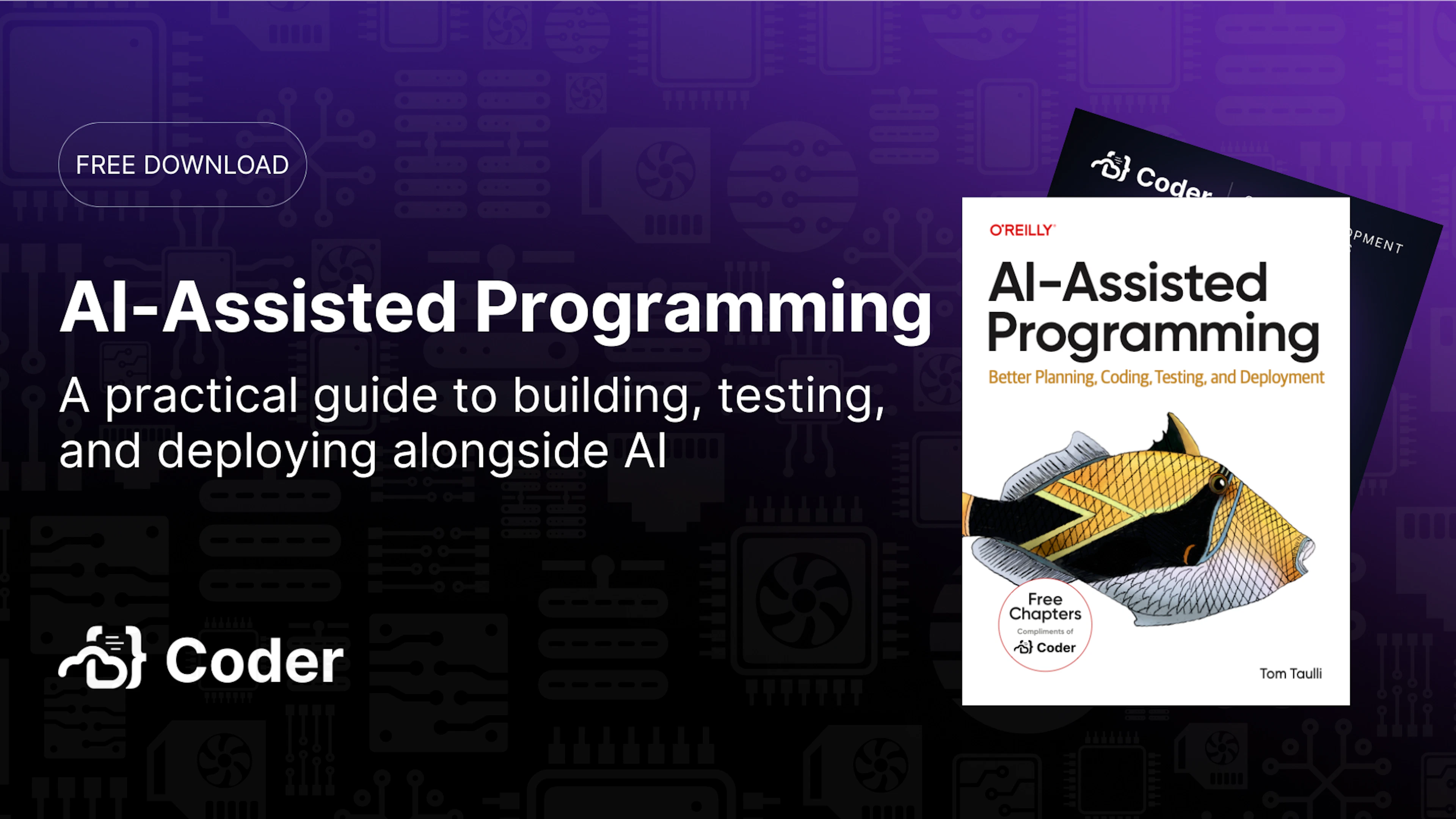 AI-Assisted Programming
