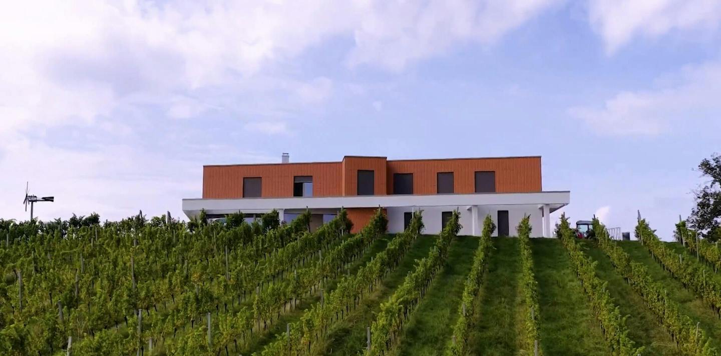 Das Weinhaus Doppler in der Sendung TV Ambienti