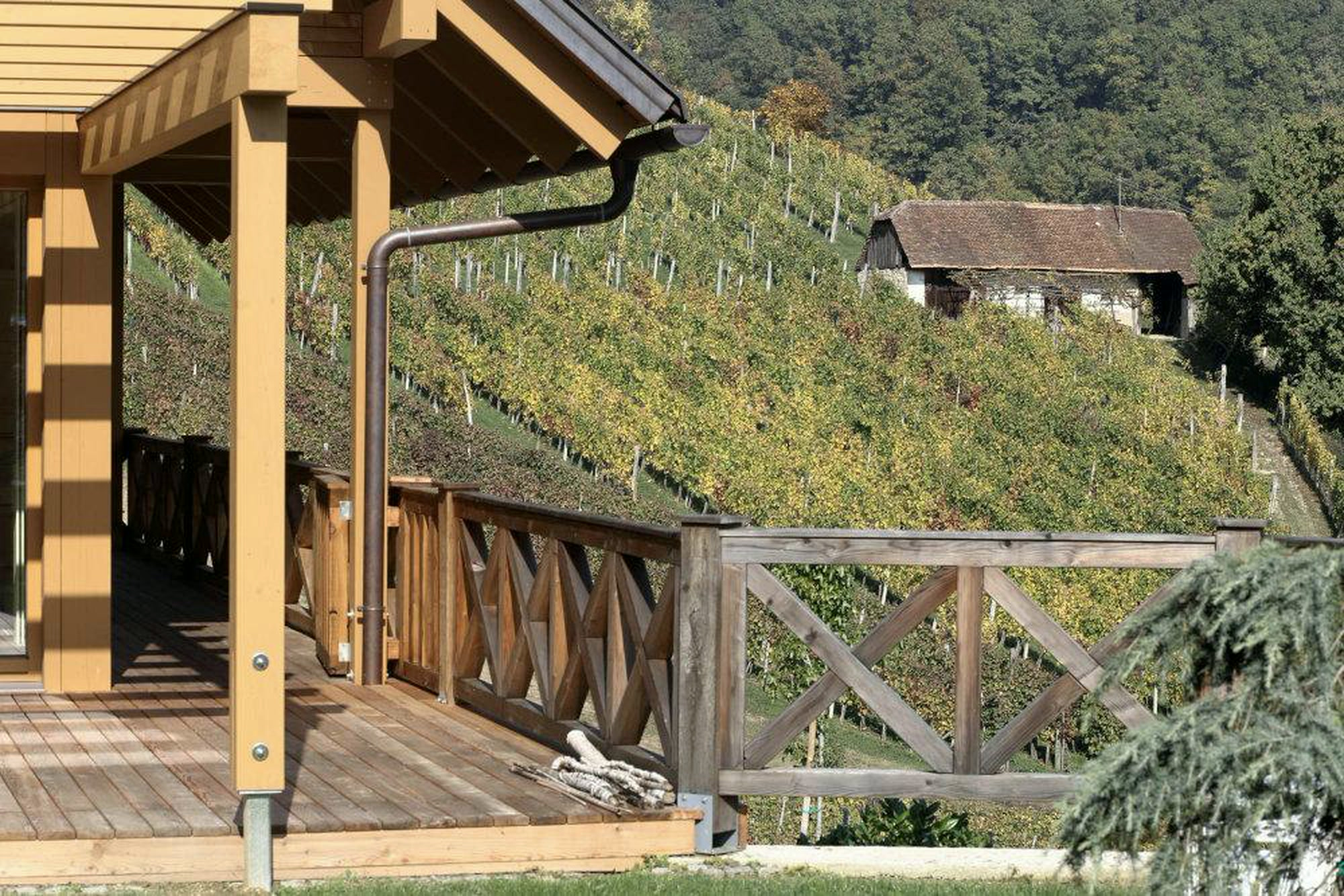 Leseno-steklena hiša