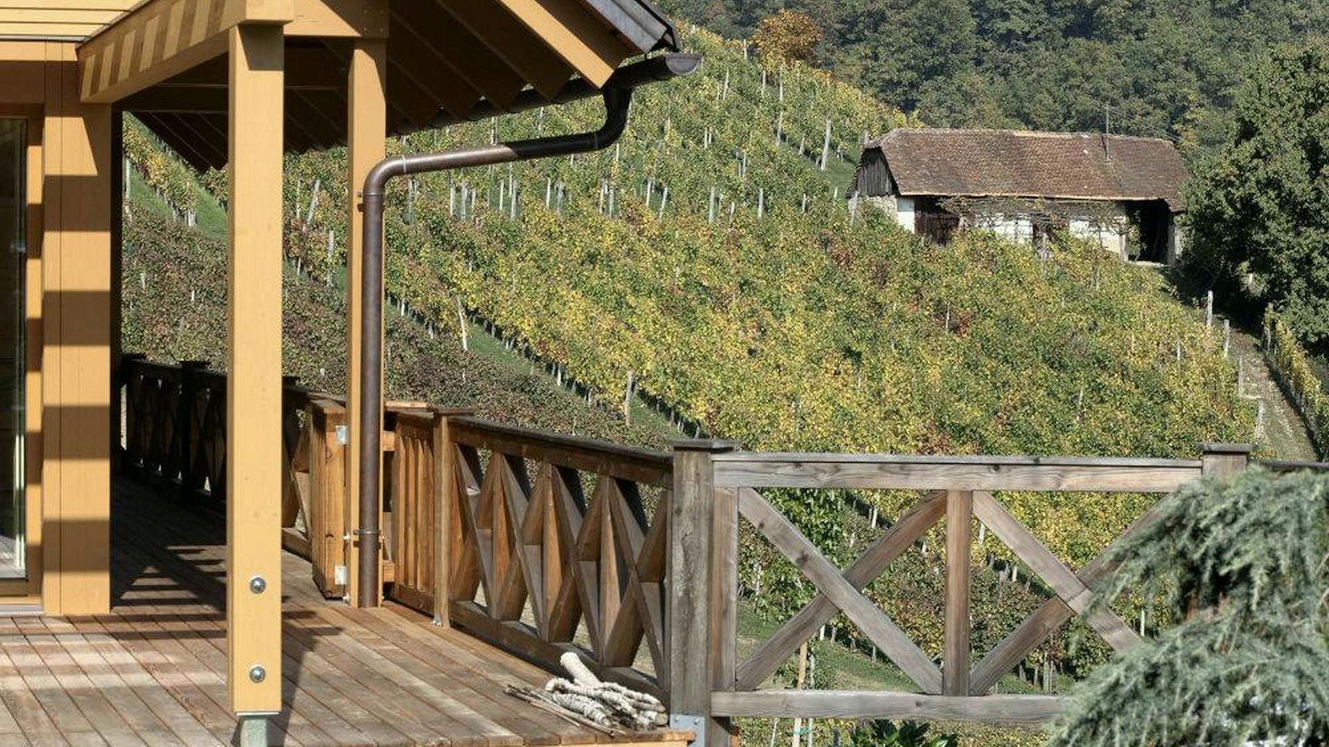 Casa in legno e vetro