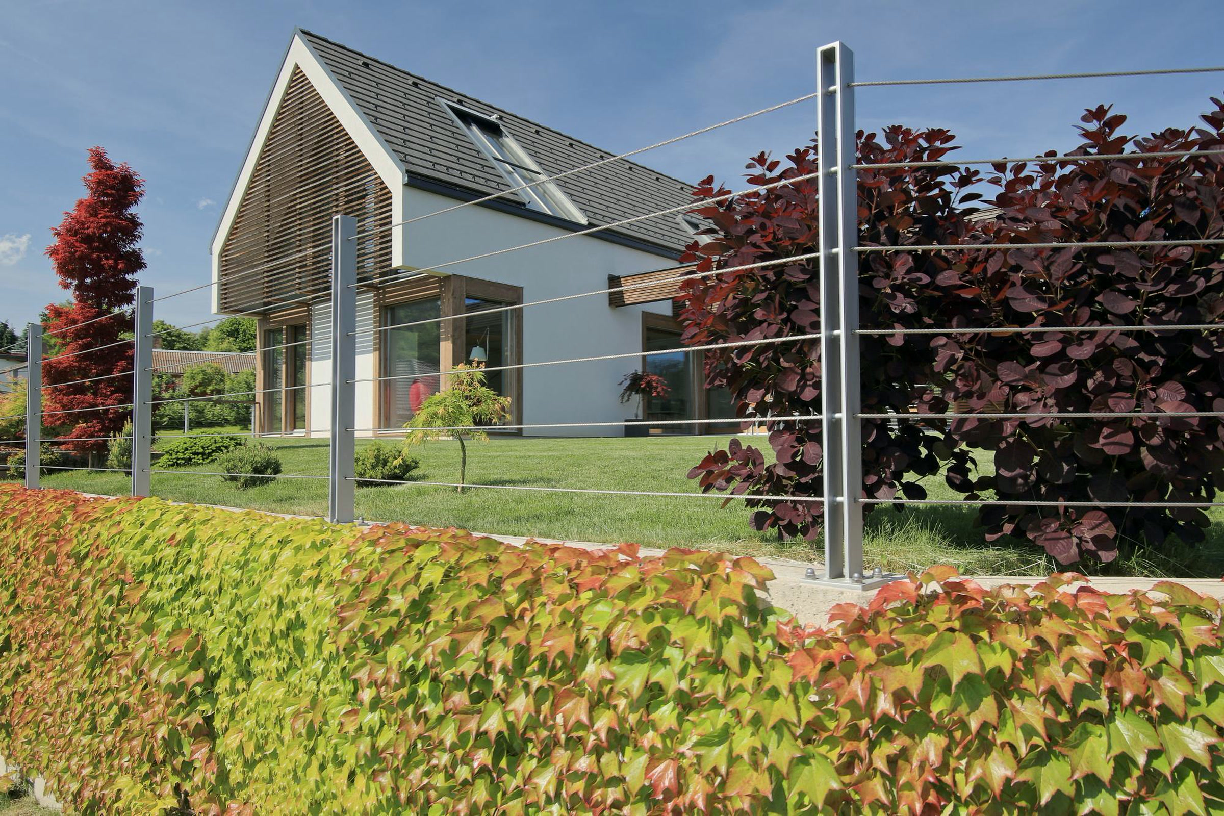 Timber-and-glass house
