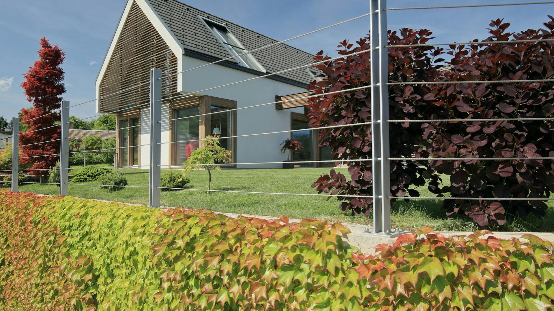 Timber-and-glass house