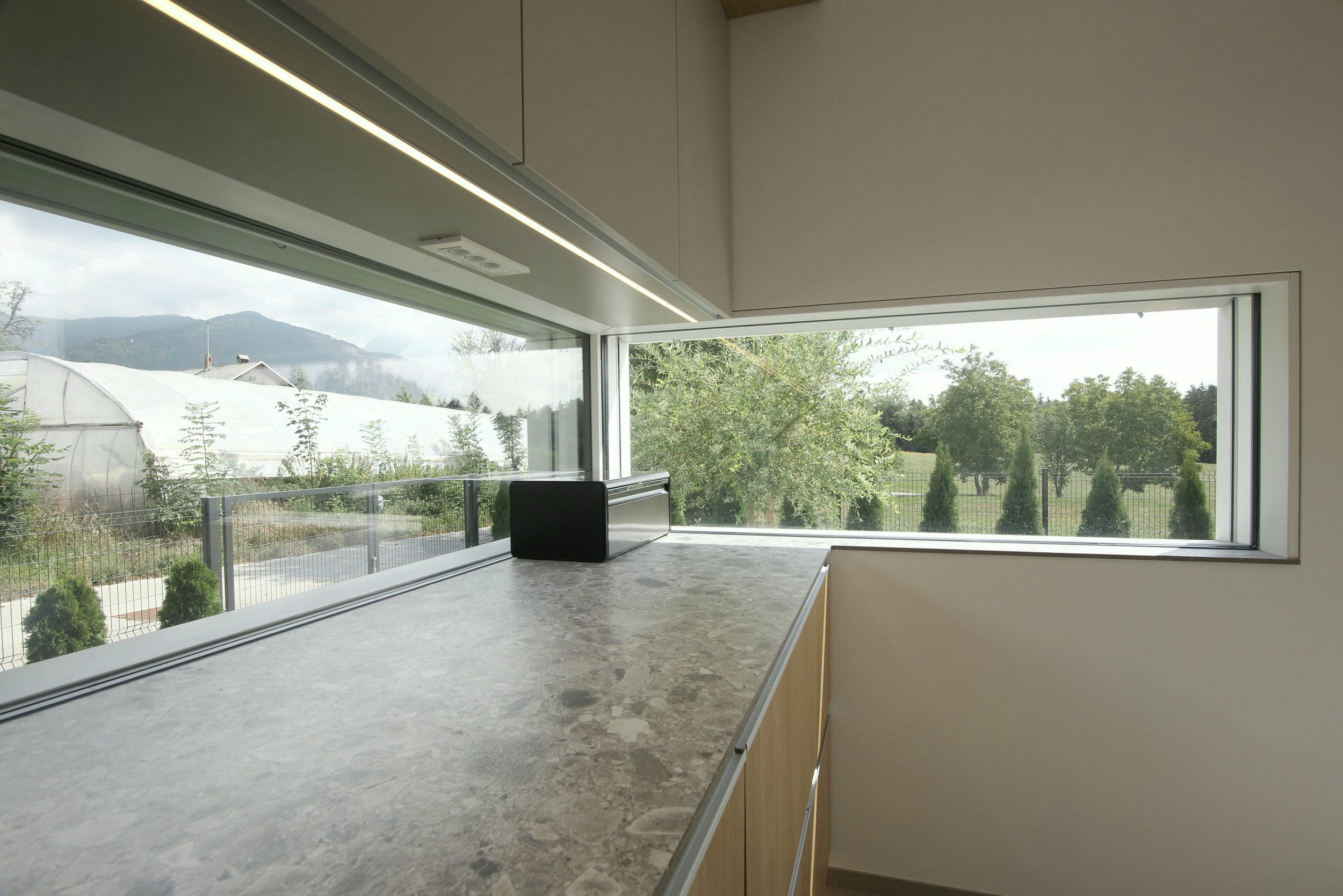 Kitchen window
