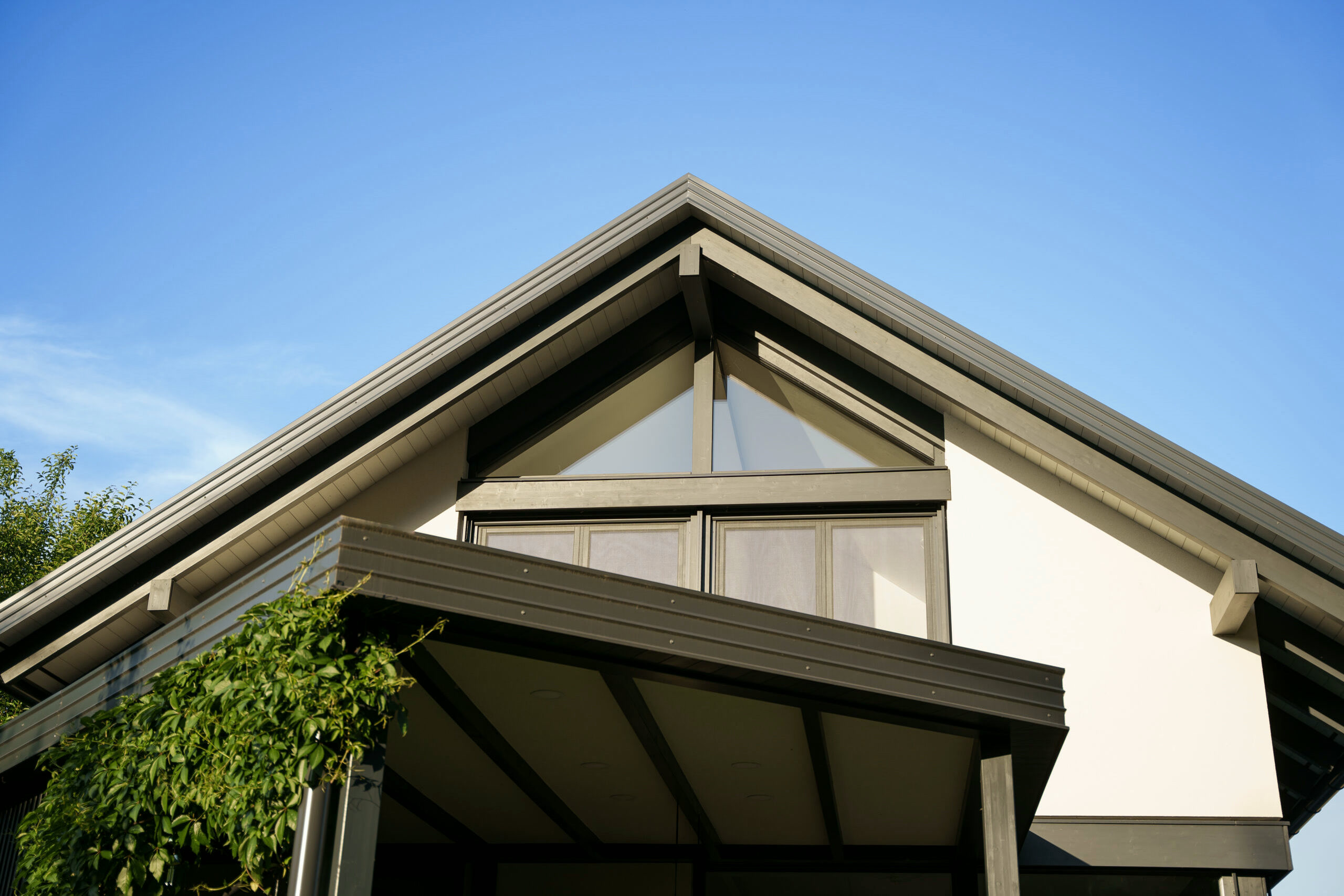 Timber-and-glass house
