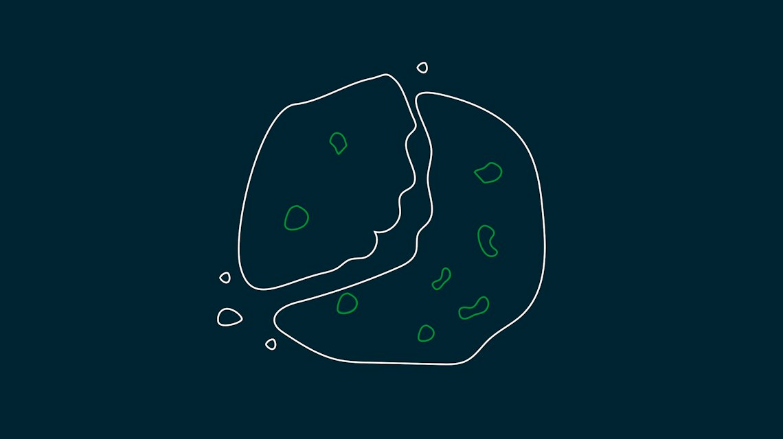 Illustration: ein zerbrochener Keks als Sinnbild für Third-Party-Cookies