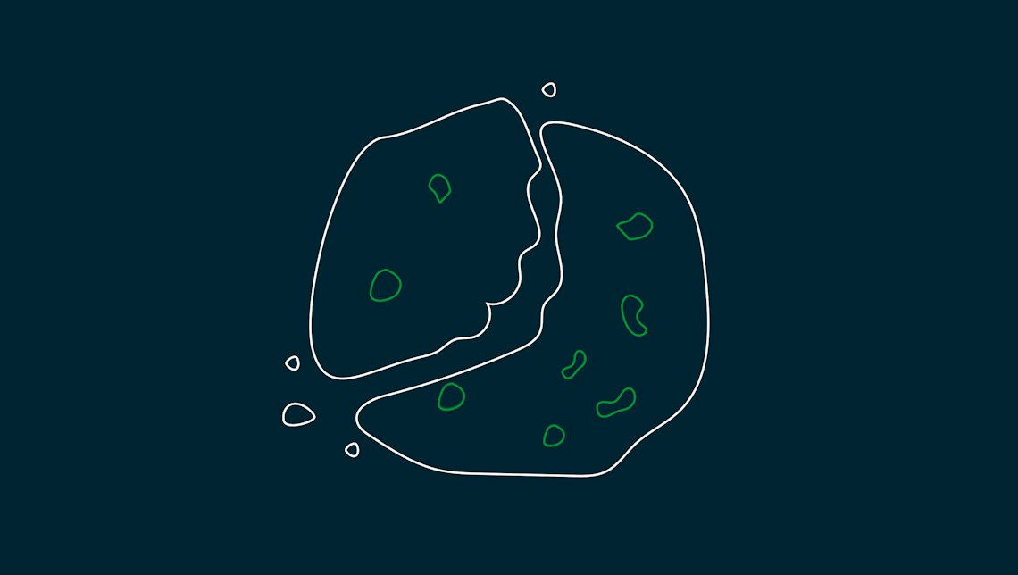 Illustration: ein zerbrochener Keks als Sinnbild für Third-Party-Cookies