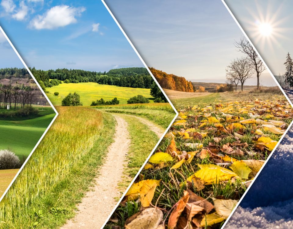 Vail Valley Plastic Surgery and Skin Care Blog | How Your Skin Changes With The Seasons