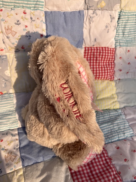 Embroidered bunny ear