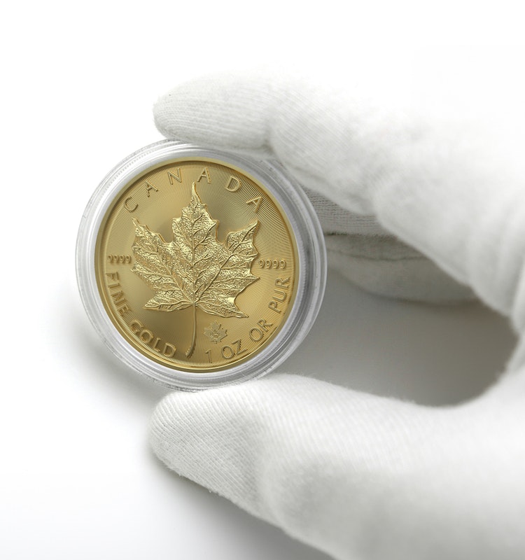 Die Rückseite der Goldmünze Maple Leaf, dessen Name rührt vom englischsprachigen Begriff für das charakteristische Blatt des Zucker-Ahorns auf der Münzrückseite. In Gold sparen mit den Sparplänen von Golden Gates.
