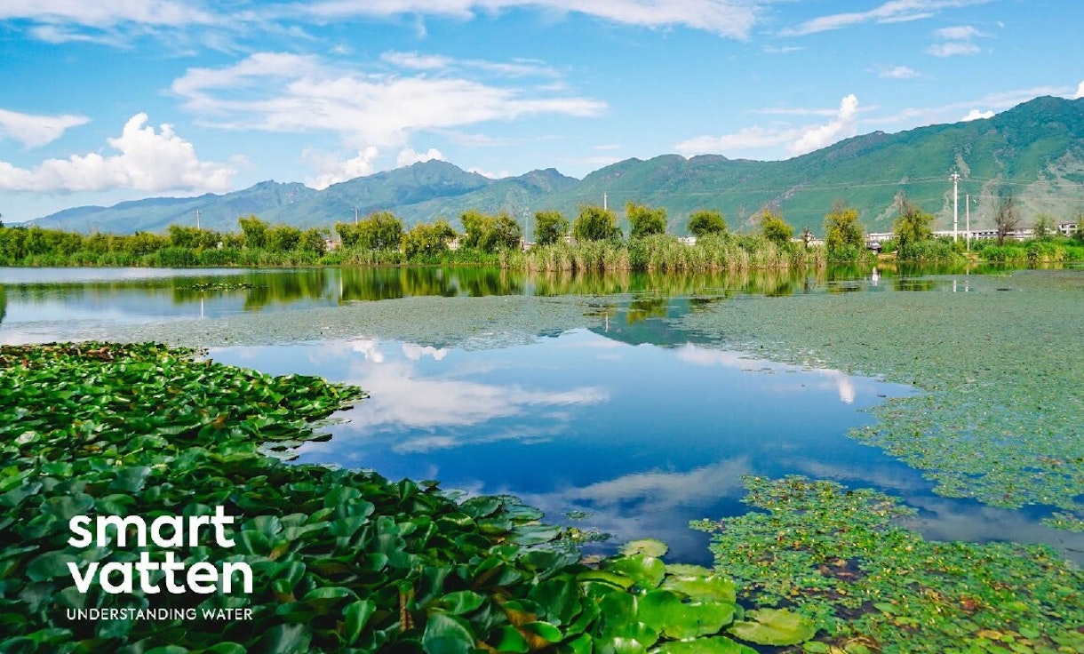 Guest column: Digitalisation is cooperation