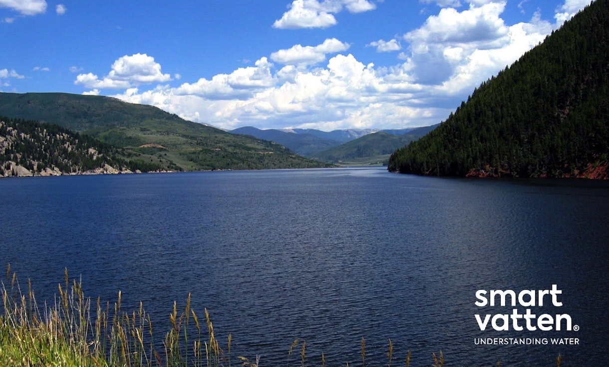 Bevattningsförbud införs för att säkra dricksvattentillgången