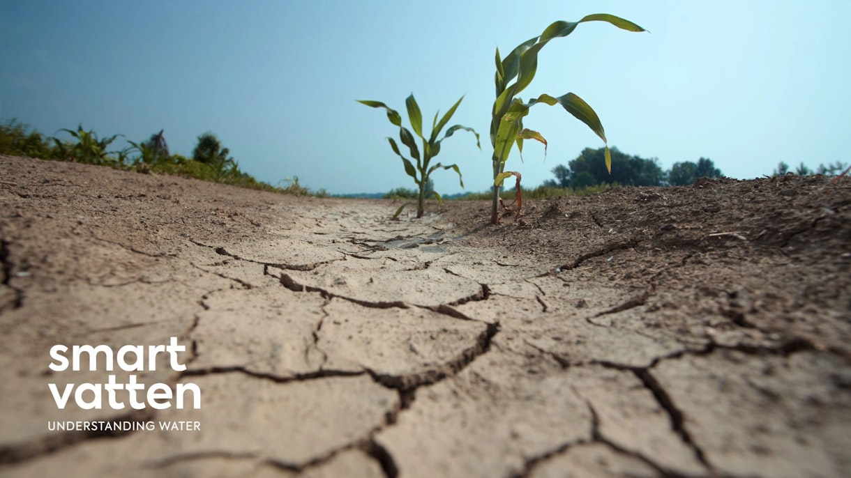 Erneute Hitzewelle in Deutschland – trocknet Deutschland langsam aus?