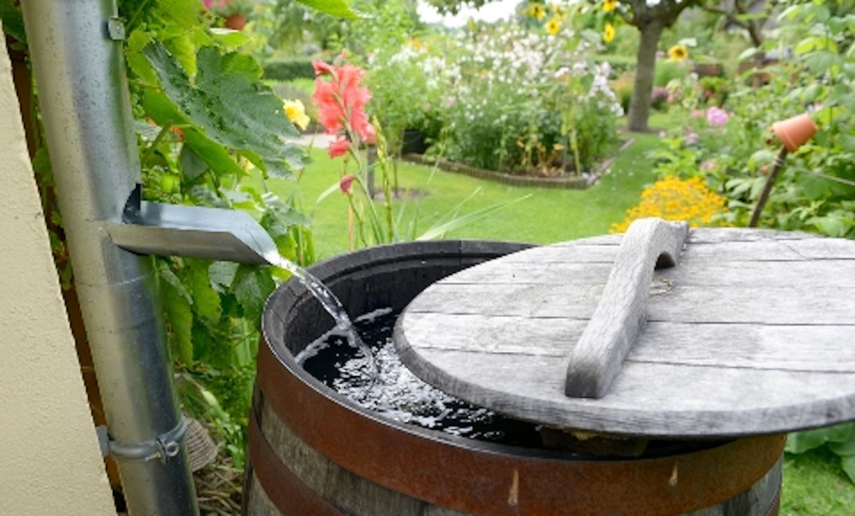 Smartvatten Guide: Slik Sparer Du Vann Om Sommeren