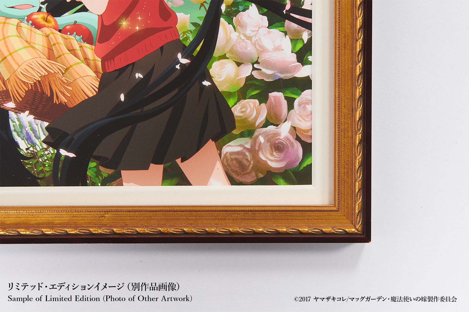 魔法使いの嫁 008 Anique 魔法使いの嫁 008 Anique