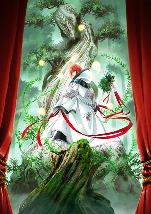魔法使いの嫁 013 | Anique,