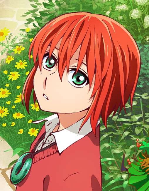 魔法使いの嫁 014 | Anique,