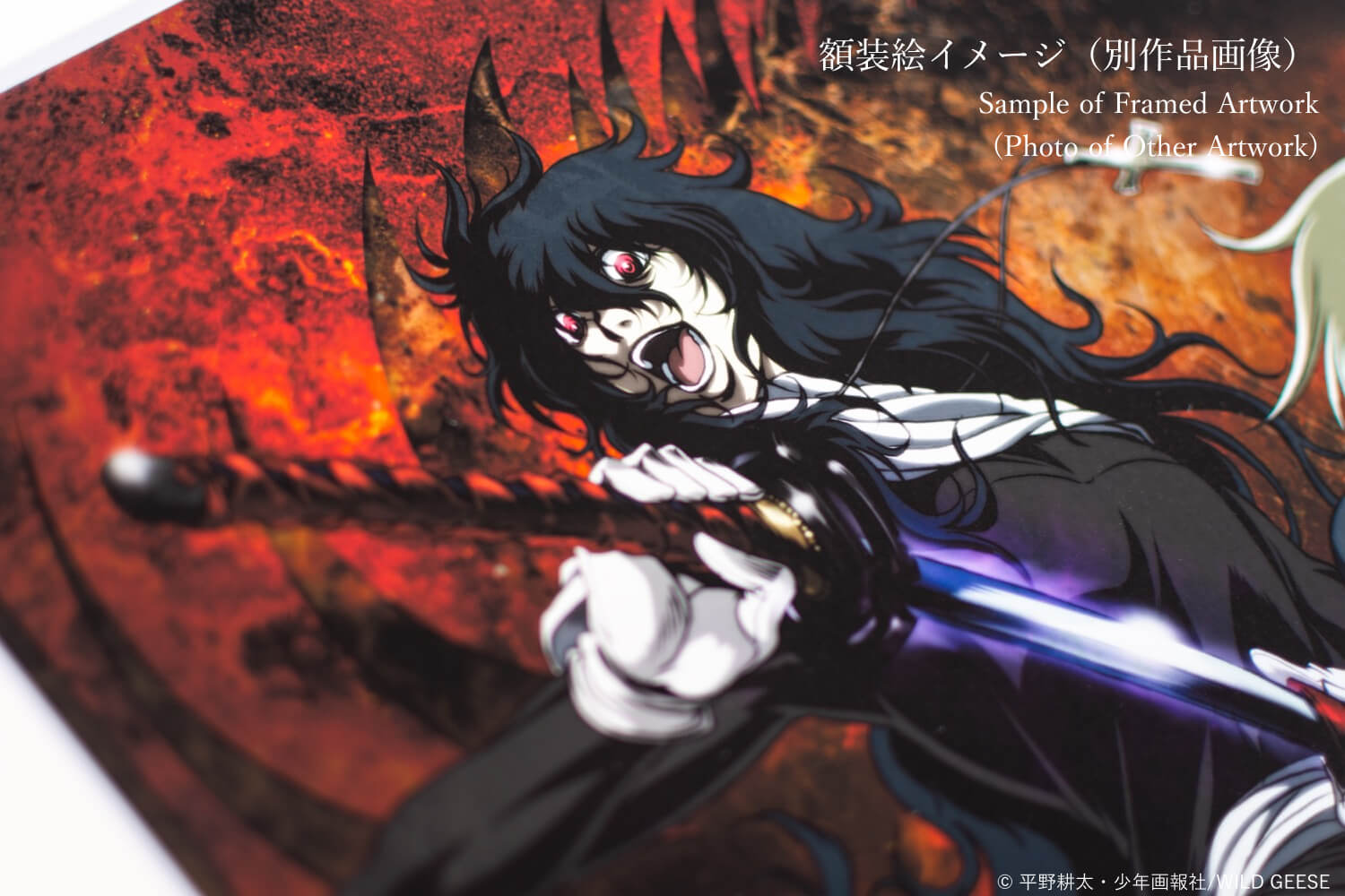 Hellsing 009 Anique