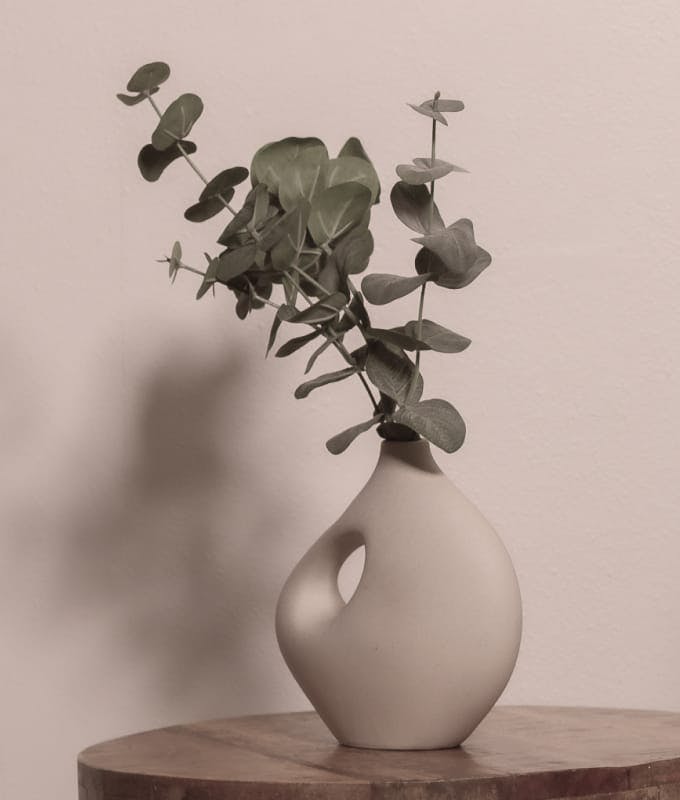 vase with plant
