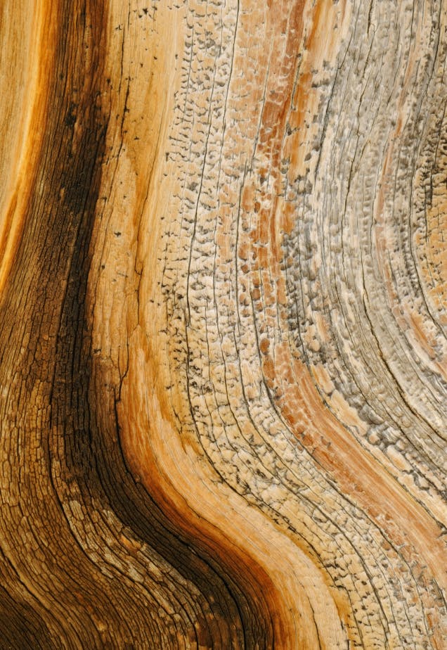 Abstract art