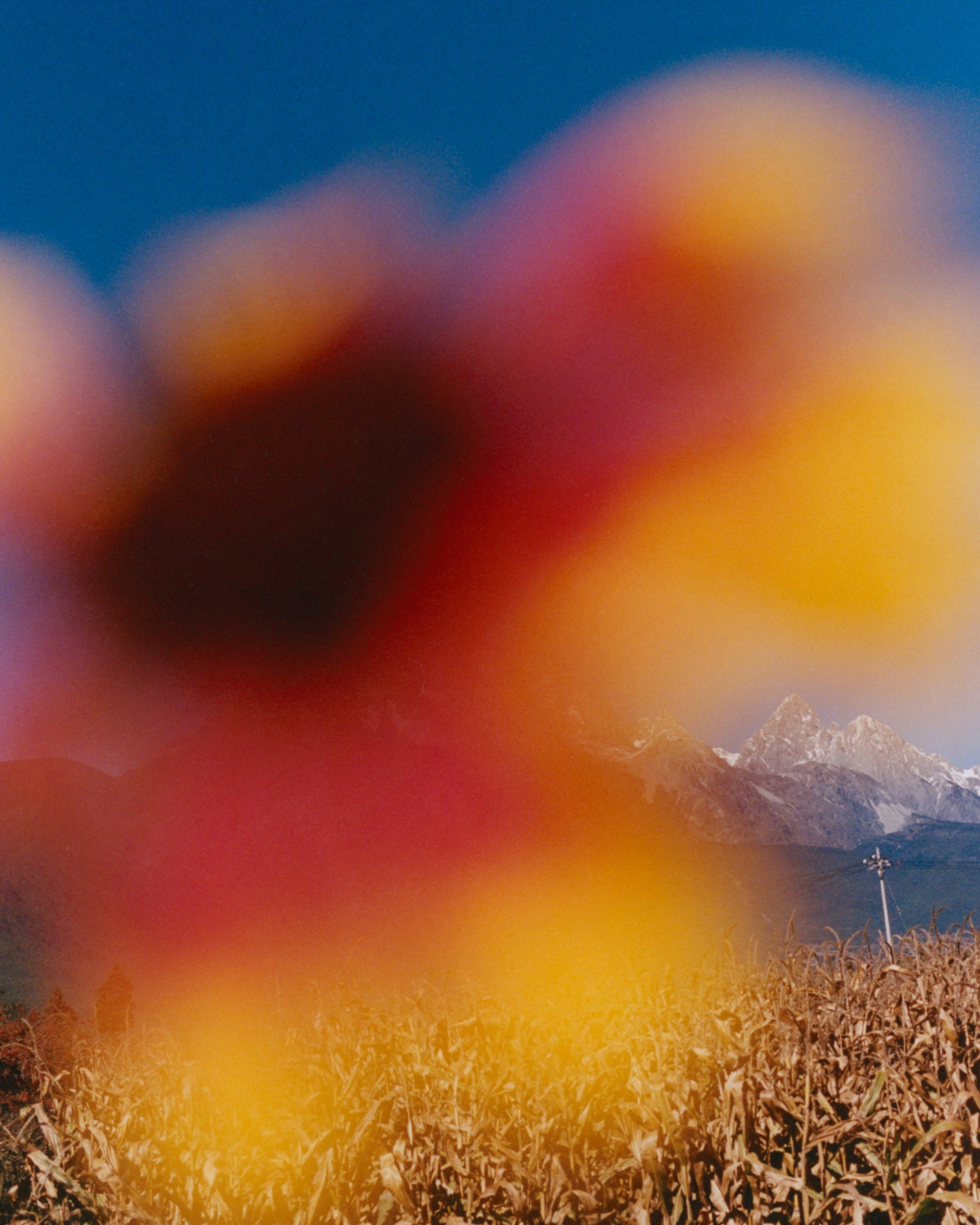 <p>YUNNAN, China</p>